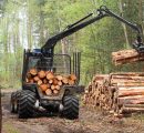 The harvester working in a forest. Renewable resources theme.